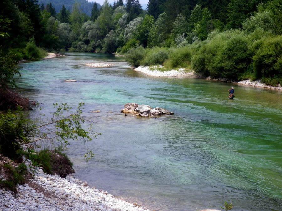 Appartamento Rems Bohinj Esterno foto